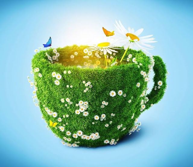 Анатомія нав’язаних сенсів: чому успіх не гарантує щастя?